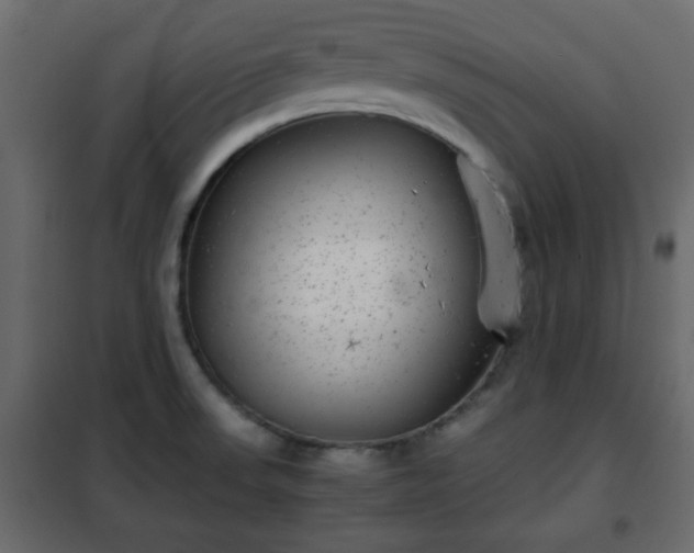 X0000102341523200808081118