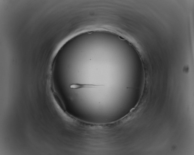 X0000102341524200808081118