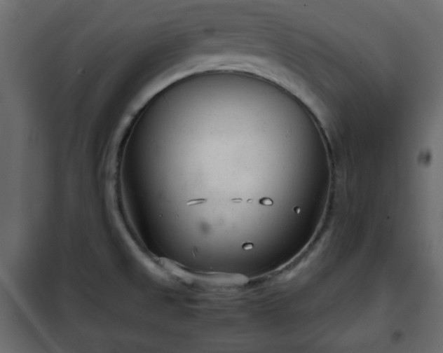 X0000102341525200808081118