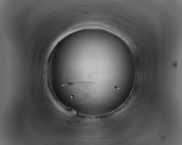 X0000102341526200808081118