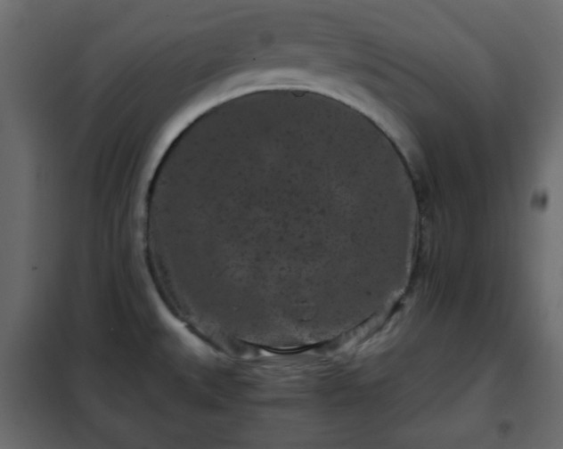 X0000102341527200808081118