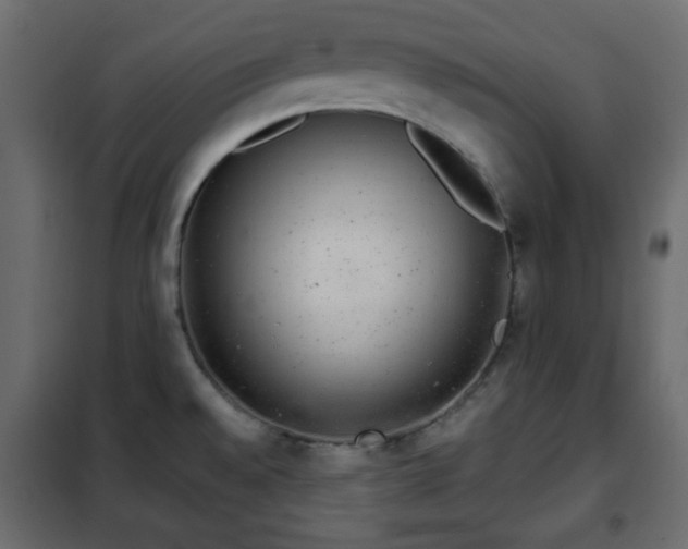 X0000102341528200808081118