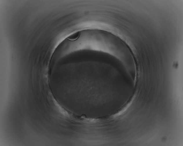 X0000102341529200808081118