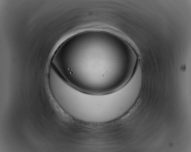 X0000102341530200808081118