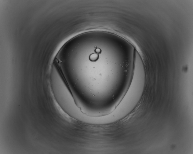 X0000102341532200808081118