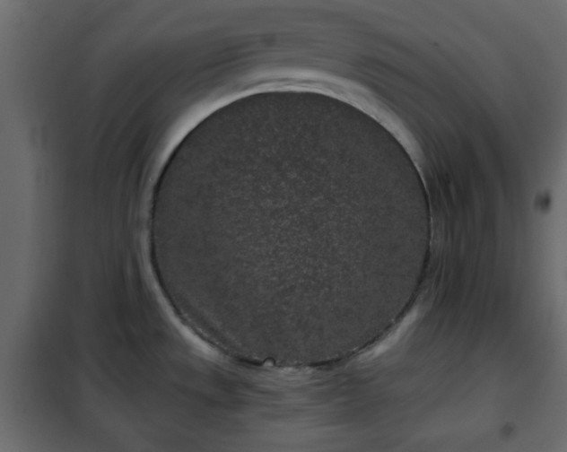 X0000102341533200808081118