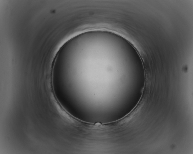 X0000102341534200808081118