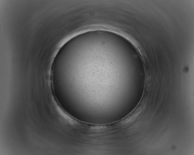 X0000102341535200808081118