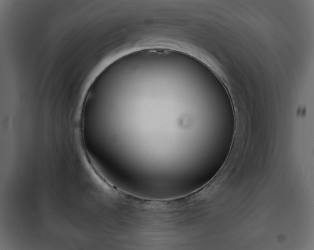 X0000102341536200808081118