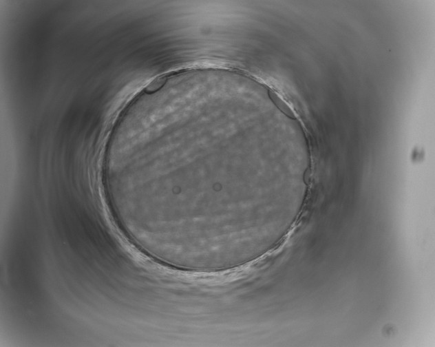 X0000102340001200808151738