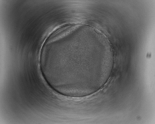 X0000102340002200808151738