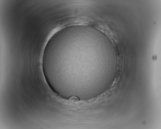 X0000102340003200808151738