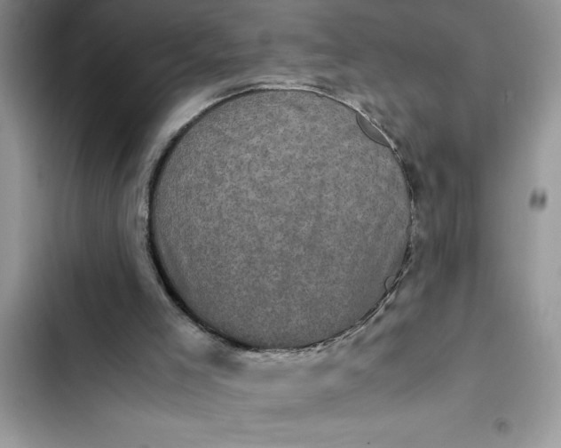 X0000102340005200808151738