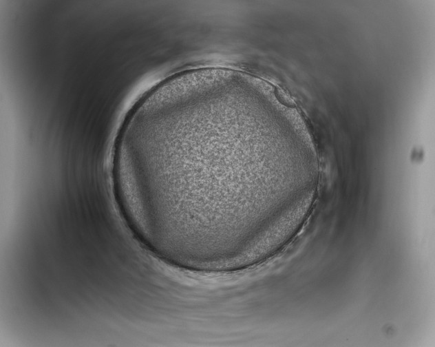 X0000102340006200808151738