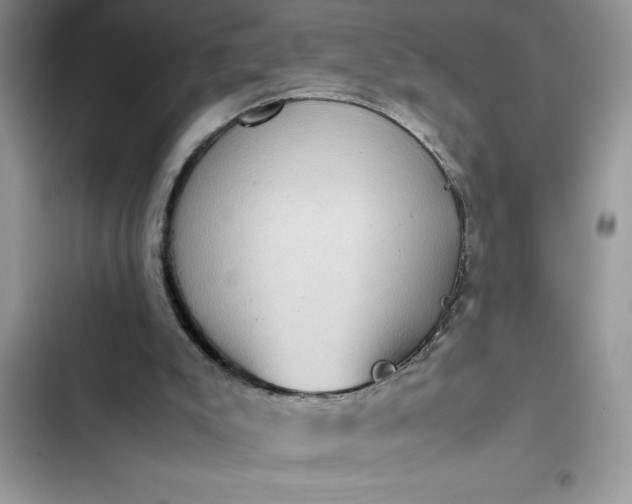 X0000102340007200808151738