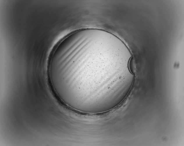 X0000102340008200808151738