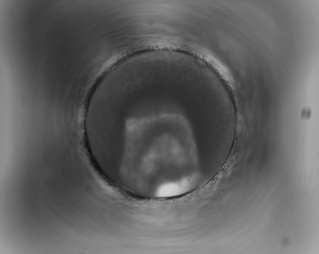 X0000102340009200808151738