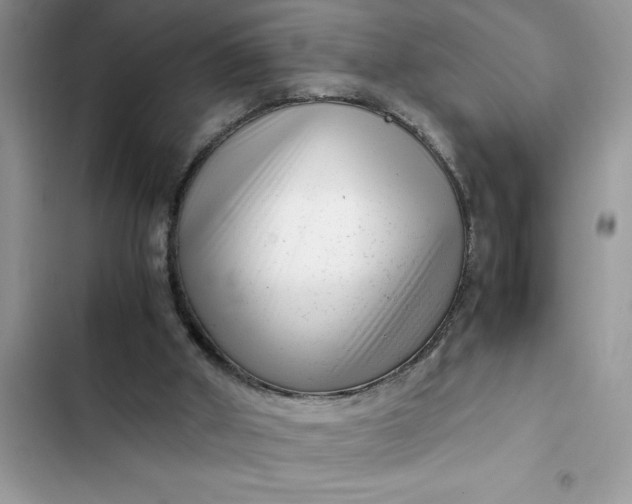 X0000102340010200808151738