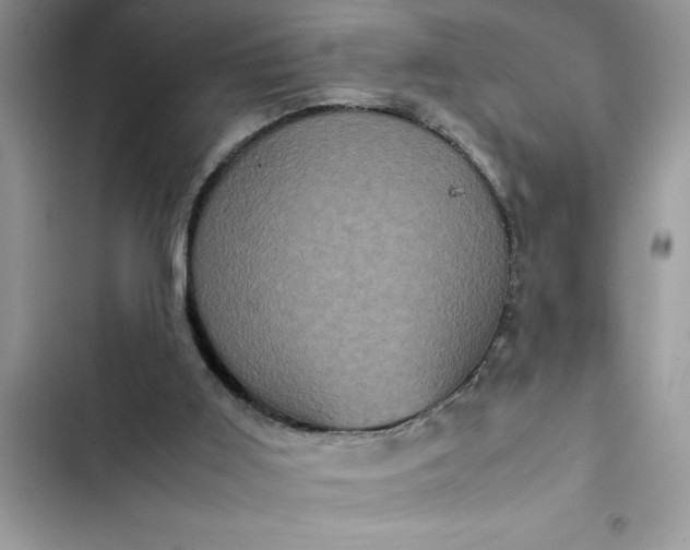 X0000102340011200808151738