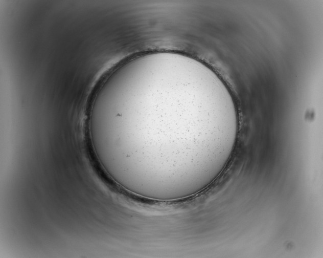 X0000102340012200808151738