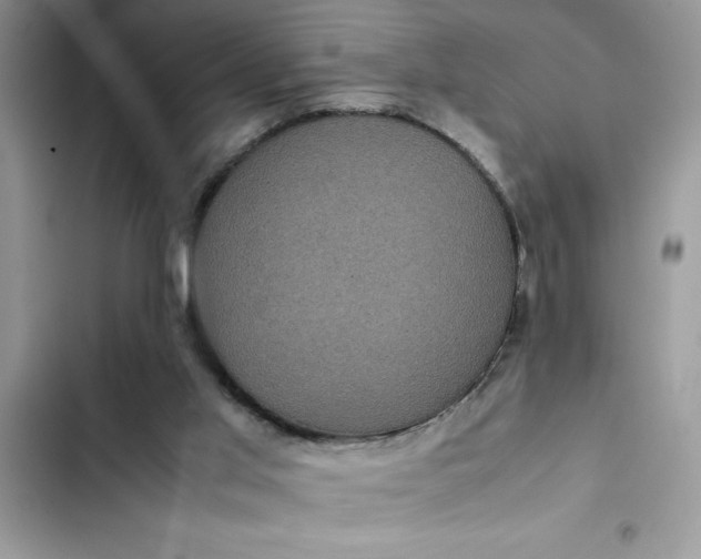 X0000102340013200808151738