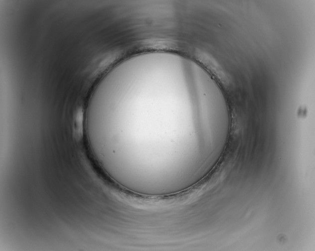 X0000102340014200808151738