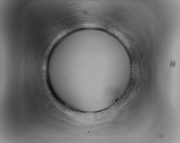 X0000102340015200808151738