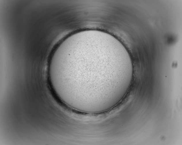 X0000102340016200808151738