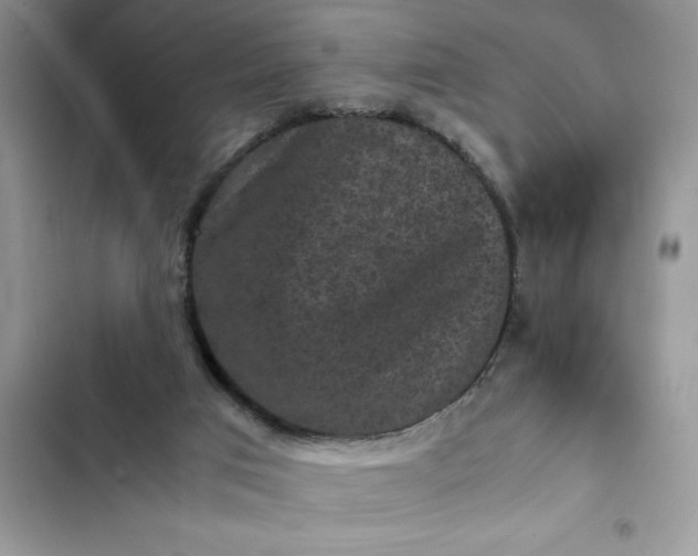 X0000102340017200808151738