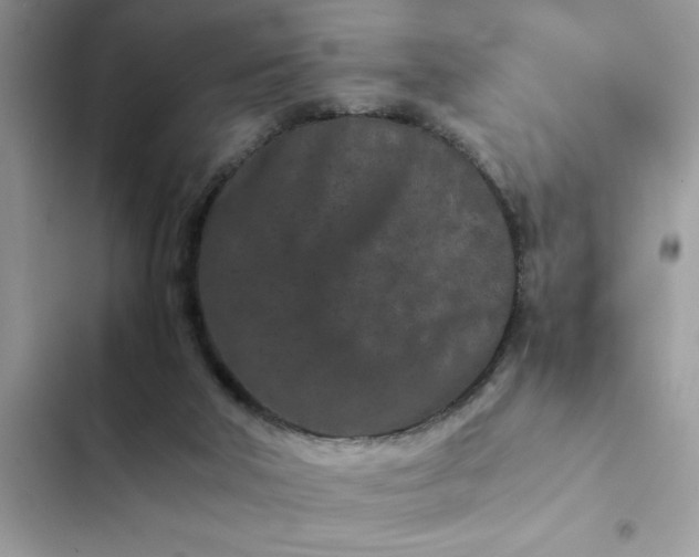 X0000102340018200808151738