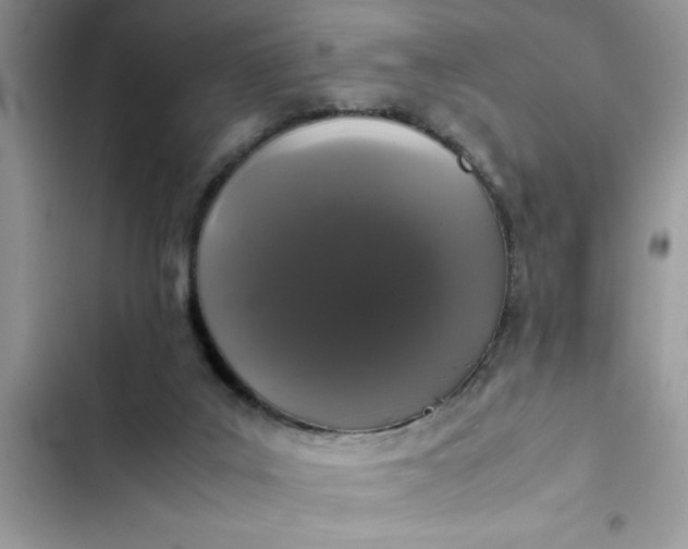 X0000102340019200808151738