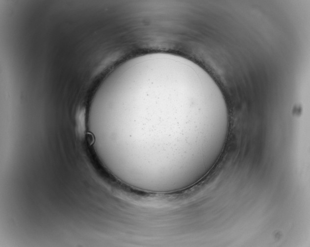 X0000102340020200808151738