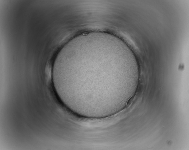 X0000102340021200808151738