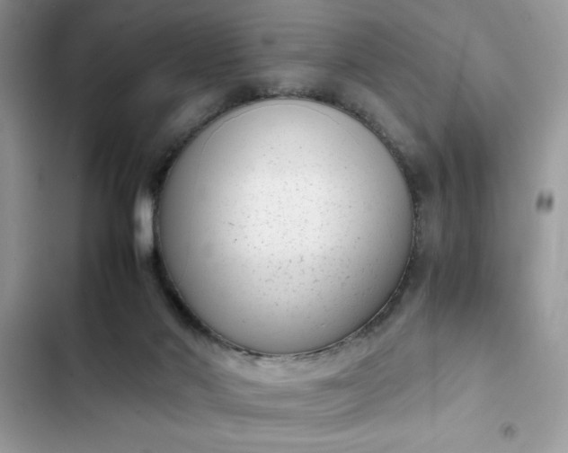 X0000102340022200808151738