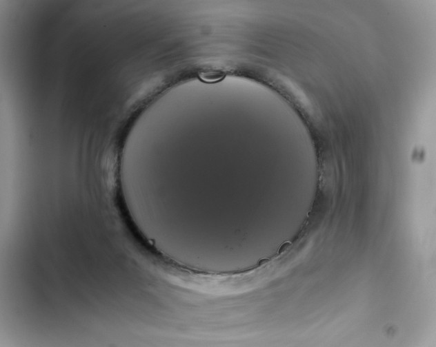 X0000102340023200808151738