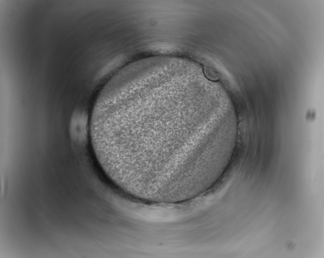 X0000102340024200808151738