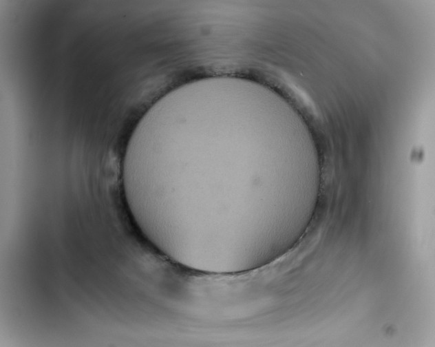 X0000102340025200808151738