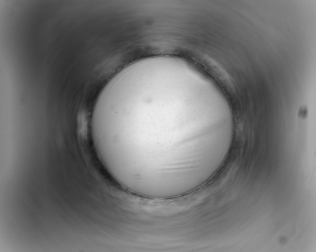 X0000102340026200808151738