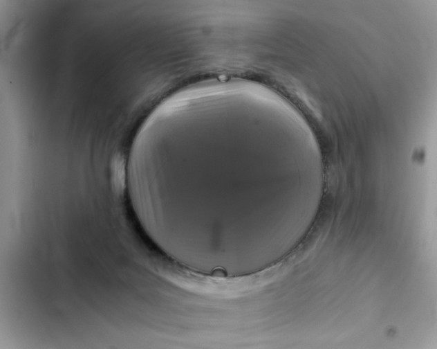 X0000102340027200808151738