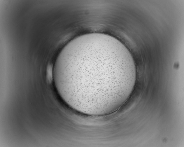 X0000102340028200808151738