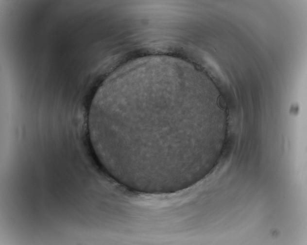 X0000102340029200808151738