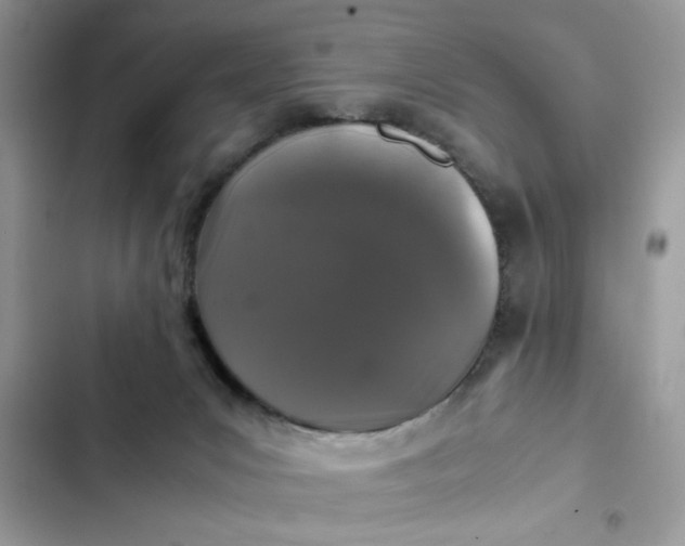 X0000102340031200808151738