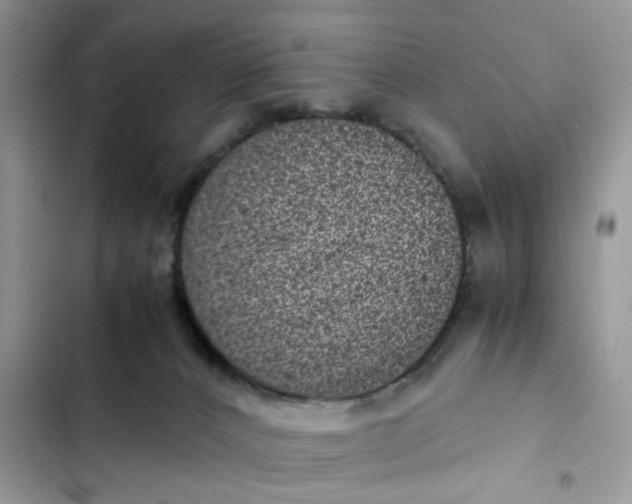 X0000102340032200808151738