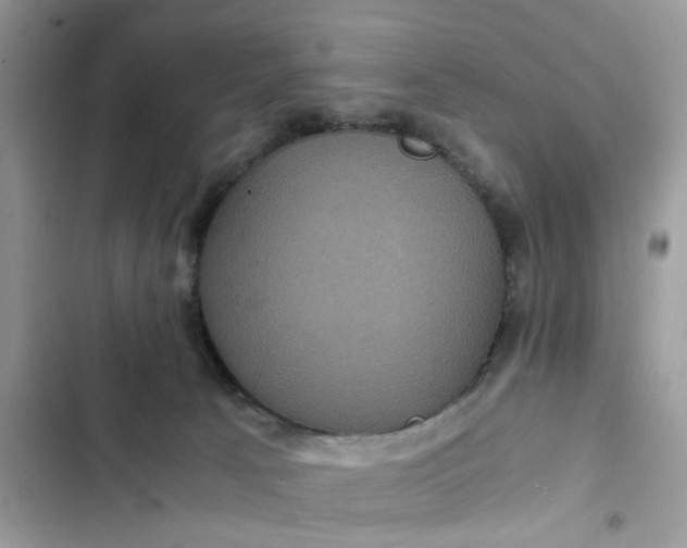 X0000102340033200808151738