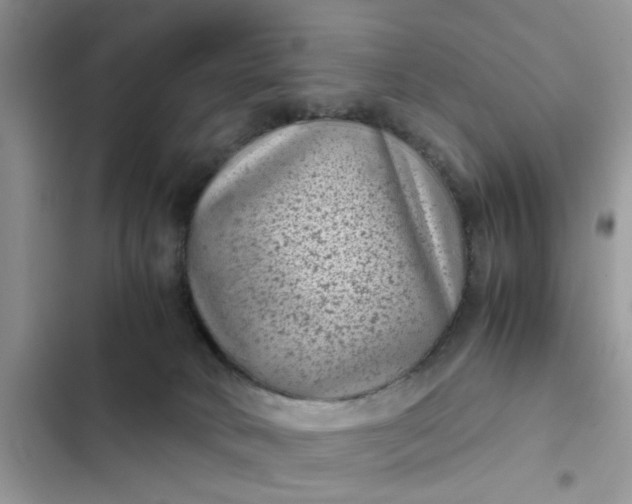 X0000102340034200808151738