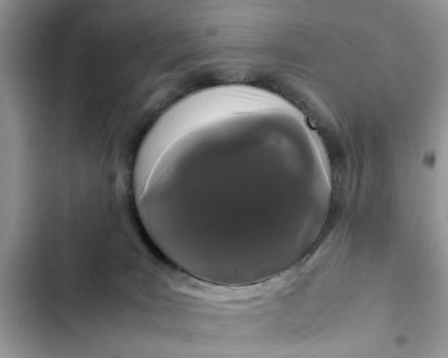 X0000102340035200808151738