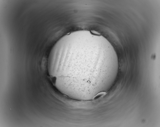 X0000102340036200808151738