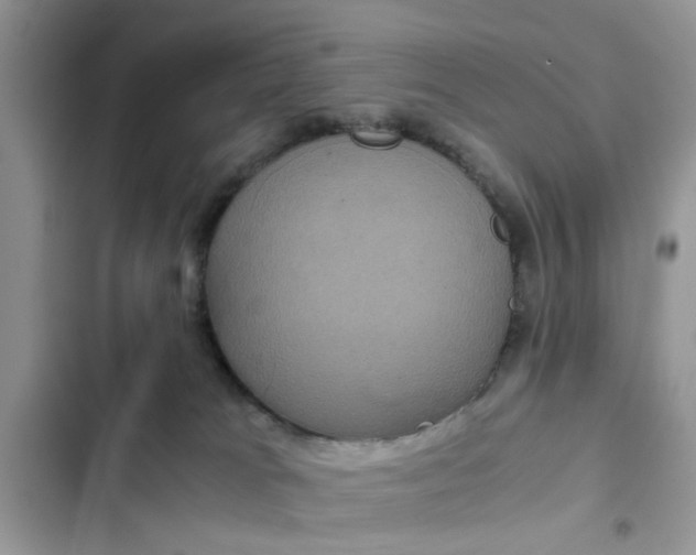 X0000102340037200808151738