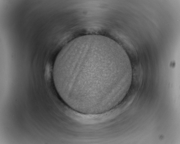 X0000102340038200808151738