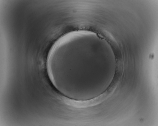 X0000102340039200808151738